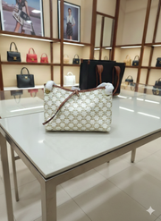 Celine Triomphe Canvas Pouch