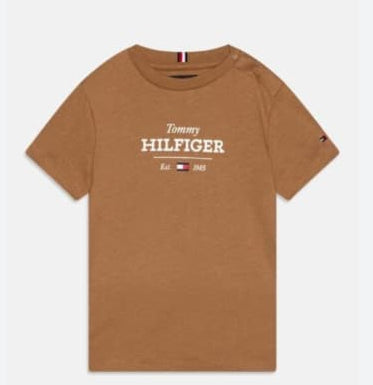 TOMMY HILFIGER T- SHIRTS